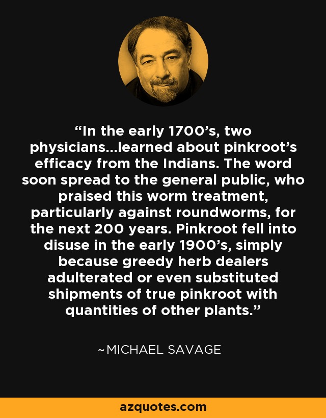 In the early 1700's, two physicians...learned about pinkroot's efficacy from the Indians. The word soon spread to the general public, who praised this worm treatment, particularly against roundworms, for the next 200 years. Pinkroot fell into disuse in the early 1900's, simply because greedy herb dealers adulterated or even substituted shipments of true pinkroot with quantities of other plants. - Michael Savage