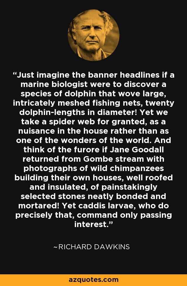 Just imagine the banner headlines if a marine biologist were to discover a species of dolphin that wove large, intricately meshed fishing nets, twenty dolphin-lengths in diameter! Yet we take a spider web for granted, as a nuisance in the house rather than as one of the wonders of the world. And think of the furore if Jane Goodall returned from Gombe stream with photographs of wild chimpanzees building their own houses, well roofed and insulated, of painstakingly selected stones neatly bonded and mortared! Yet caddis larvae, who do precisely that, command only passing interest. - Richard Dawkins