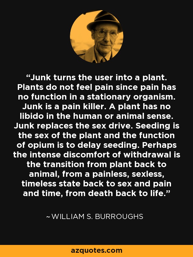 Junk turns the user into a plant. Plants do not feel pain since pain has no function in a stationary organism. Junk is a pain killer. A plant has no libido in the human or animal sense. Junk replaces the sex drive. Seeding is the sex of the plant and the function of opium is to delay seeding. Perhaps the intense discomfort of withdrawal is the transition from plant back to animal, from a painless, sexless, timeless state back to sex and pain and time, from death back to life. - William S. Burroughs
