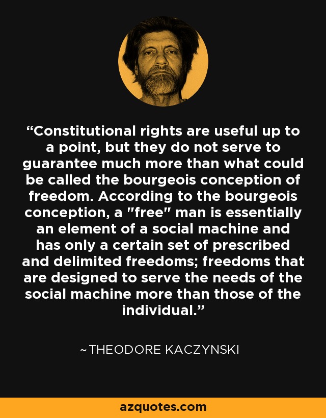 Constitutional rights are useful up to a point, but they do not serve to guarantee much more than what could be called the bourgeois conception of freedom. According to the bourgeois conception, a 