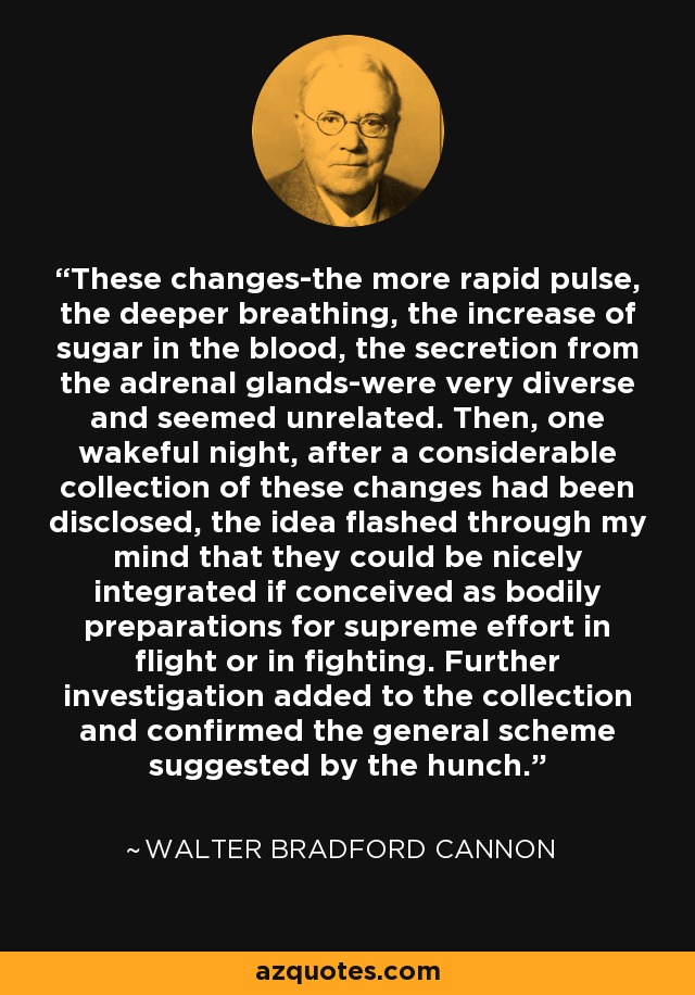 These changes-the more rapid pulse, the deeper breathing, the increase of sugar in the blood, the secretion from the adrenal glands-were very diverse and seemed unrelated. Then, one wakeful night, after a considerable collection of these changes had been disclosed, the idea flashed through my mind that they could be nicely integrated if conceived as bodily preparations for supreme effort in flight or in fighting. Further investigation added to the collection and confirmed the general scheme suggested by the hunch. - Walter Bradford Cannon