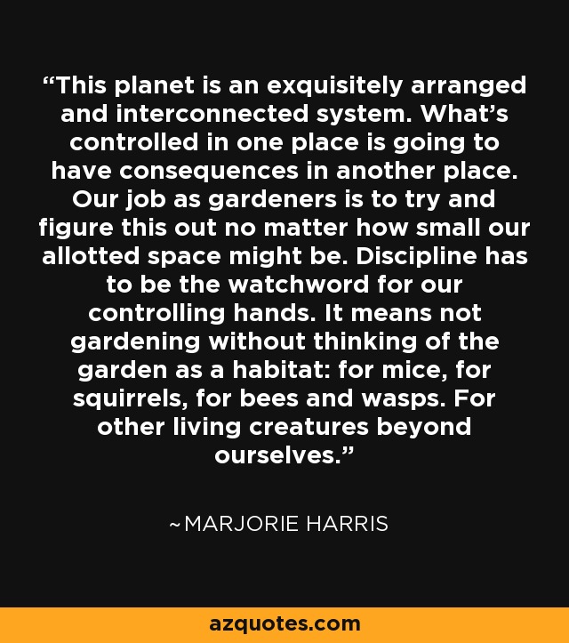 This planet is an exquisitely arranged and interconnected system. What's controlled in one place is going to have consequences in another place. Our job as gardeners is to try and figure this out no matter how small our allotted space might be. Discipline has to be the watchword for our controlling hands. It means not gardening without thinking of the garden as a habitat: for mice, for squirrels, for bees and wasps. For other living creatures beyond ourselves. - Marjorie Harris