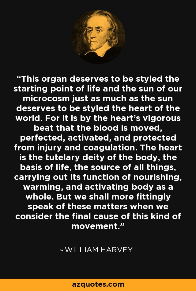 This organ deserves to be styled the starting point of life and the sun of our microcosm just as much as the sun deserves to be styled the heart of the world. For it is by the heart's vigorous beat that the blood is moved, perfected, activated, and protected from injury and coagulation. The heart is the tutelary deity of the body, the basis of life, the source of all things, carrying out its function of nourishing, warming, and activating body as a whole. But we shall more fittingly speak of these matters when we consider the final cause of this kind of movement. - William Harvey