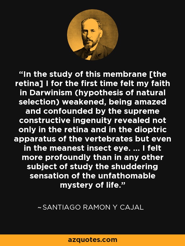 In the study of this membrane [the retina] I for the first time felt my faith in Darwinism (hypothesis of natural selection) weakened, being amazed and confounded by the supreme constructive ingenuity revealed not only in the retina and in the dioptric apparatus of the vertebrates but even in the meanest insect eye. ... I felt more profoundly than in any other subject of study the shuddering sensation of the unfathomable mystery of life. - Santiago Ramon y Cajal