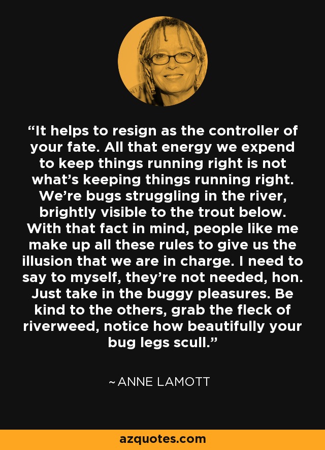 It helps to resign as the controller of your fate. All that energy we expend to keep things running right is not what's keeping things running right. We're bugs struggling in the river, brightly visible to the trout below. With that fact in mind, people like me make up all these rules to give us the illusion that we are in charge. I need to say to myself, they're not needed, hon. Just take in the buggy pleasures. Be kind to the others, grab the fleck of riverweed, notice how beautifully your bug legs scull. - Anne Lamott