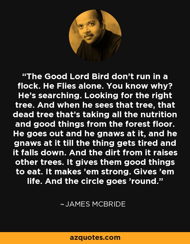 The Good Lord Bird don't run in a flock. He Flies alone. You know why? He's searching. Looking for the right tree. And when he sees that tree, that dead tree that's taking all the nutrition and good things from the forest floor. He goes out and he gnaws at it, and he gnaws at it till the thing gets tired and it falls down. And the dirt from it raises other trees. It gives them good things to eat. It makes 'em strong. Gives 'em life. And the circle goes 'round. - James McBride
