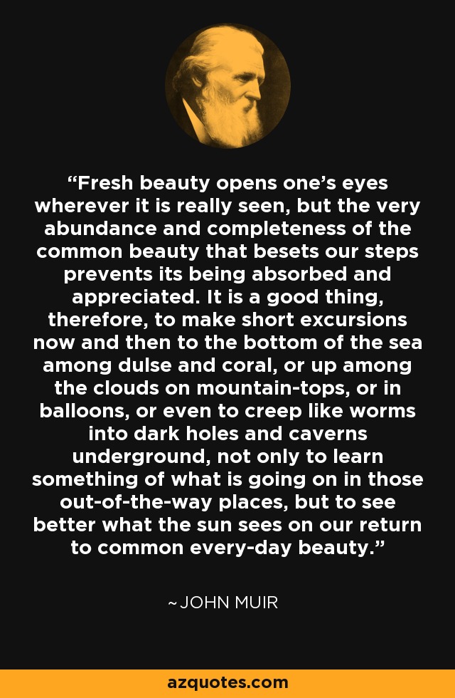 Fresh beauty opens one's eyes wherever it is really seen, but the very abundance and completeness of the common beauty that besets our steps prevents its being absorbed and appreciated. It is a good thing, therefore, to make short excursions now and then to the bottom of the sea among dulse and coral, or up among the clouds on mountain-tops, or in balloons, or even to creep like worms into dark holes and caverns underground, not only to learn something of what is going on in those out-of-the-way places, but to see better what the sun sees on our return to common every-day beauty. - John Muir