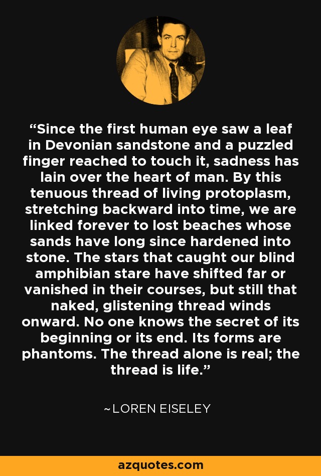 Since the first human eye saw a leaf in Devonian sandstone and a puzzled finger reached to touch it, sadness has lain over the heart of man. By this tenuous thread of living protoplasm, stretching backward into time, we are linked forever to lost beaches whose sands have long since hardened into stone. The stars that caught our blind amphibian stare have shifted far or vanished in their courses, but still that naked, glistening thread winds onward. No one knows the secret of its beginning or its end. Its forms are phantoms. The thread alone is real; the thread is life. - Loren Eiseley