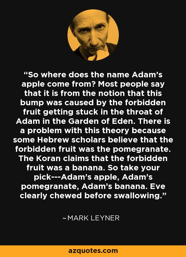 So where does the name Adam's apple come from? Most people say that it is from the notion that this bump was caused by the forbidden fruit getting stuck in the throat of Adam in the Garden of Eden. There is a problem with this theory because some Hebrew scholars believe that the forbidden fruit was the pomegranate. The Koran claims that the forbidden fruit was a banana. So take your pick---Adam's apple, Adam's pomegranate, Adam's banana. Eve clearly chewed before swallowing. - Mark Leyner