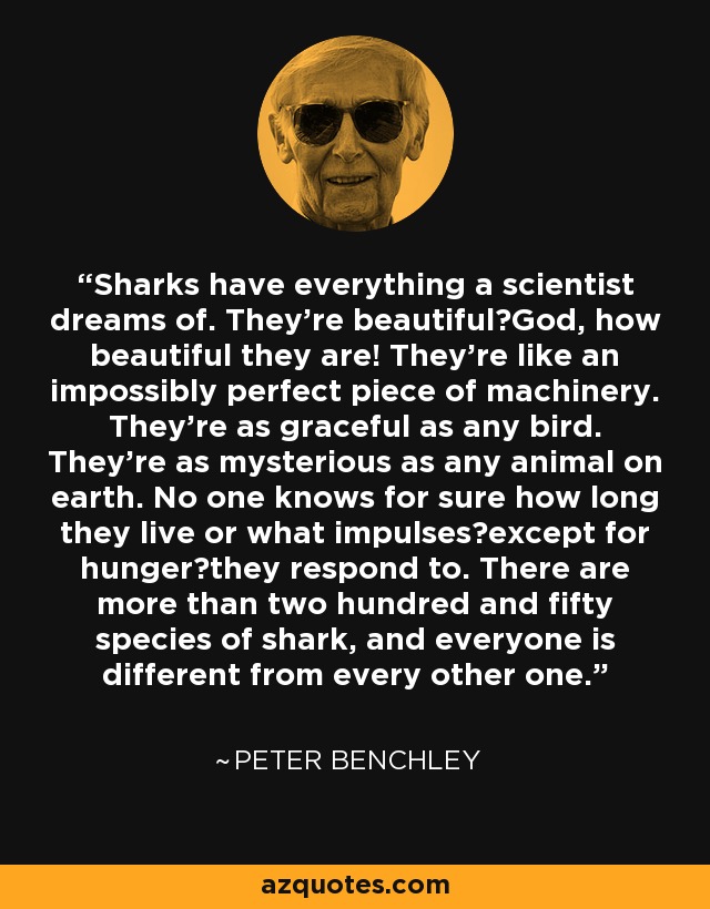 Sharks have everything a scientist dreams of. They're beautiful―God, how beautiful they are! They're like an impossibly perfect piece of machinery. They're as graceful as any bird. They're as mysterious as any animal on earth. No one knows for sure how long they live or what impulses―except for hunger―they respond to. There are more than two hundred and fifty species of shark, and everyone is different from every other one. - Peter Benchley