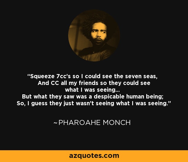Squeeze 7cc's so I could see the seven seas, And CC all my friends so they could see what I was seeing... But what they saw was a despicable human being; So, I guess they just wasn't seeing what I was seeing. - Pharoahe Monch