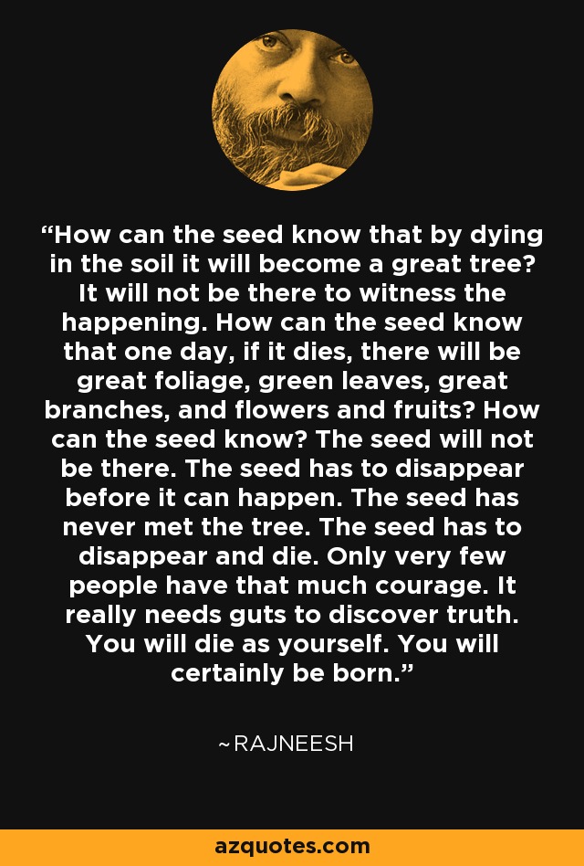 How can the seed know that by dying in the soil it will become a great tree? It will not be there to witness the happening. How can the seed know that one day, if it dies, there will be great foliage, green leaves, great branches, and flowers and fruits? How can the seed know? The seed will not be there. The seed has to disappear before it can happen. The seed has never met the tree. The seed has to disappear and die. Only very few people have that much courage. It really needs guts to discover truth. You will die as yourself. You will certainly be born. - Rajneesh