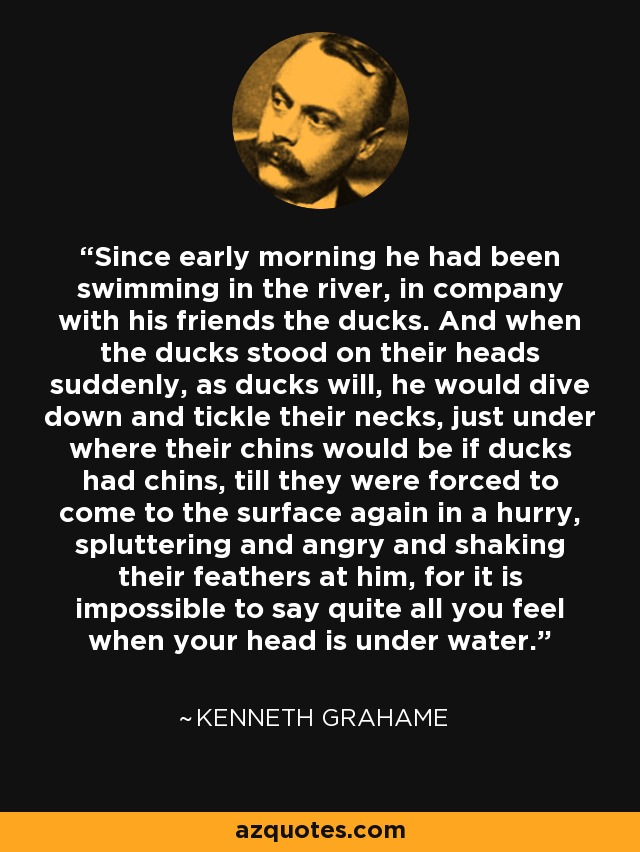 Since early morning he had been swimming in the river, in company with his friends the ducks. And when the ducks stood on their heads suddenly, as ducks will, he would dive down and tickle their necks, just under where their chins would be if ducks had chins, till they were forced to come to the surface again in a hurry, spluttering and angry and shaking their feathers at him, for it is impossible to say quite all you feel when your head is under water. - Kenneth Grahame