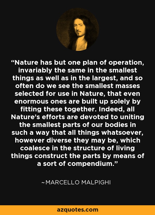Nature has but one plan of operation, invariably the same in the smallest things as well as in the largest, and so often do we see the smallest masses selected for use in Nature, that even enormous ones are built up solely by fitting these together. Indeed, all Nature's efforts are devoted to uniting the smallest parts of our bodies in such a way that all things whatsoever, however diverse they may be, which coalesce in the structure of living things construct the parts by means of a sort of compendium. - Marcello Malpighi