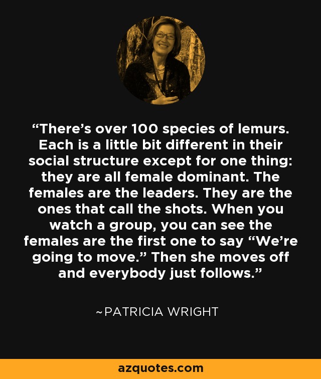 There's over 100 species of lemurs. Each is a little bit different in their social structure except for one thing: they are all female dominant. The females are the leaders. They are the ones that call the shots. When you watch a group, you can see the females are the first one to say “We’re going to move.” Then she moves off and everybody just follows. - Patricia Wright