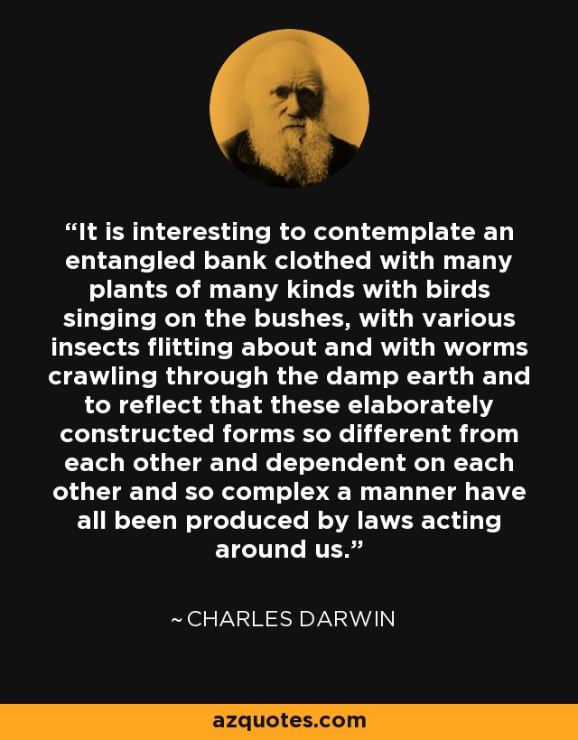 It is interesting to contemplate an entangled bank clothed with many plants of many kinds with birds singing on the bushes, with various insects flitting about and with worms crawling through the damp earth and to reflect that these elaborately constructed forms so different from each other and dependent on each other and so complex a manner have all been produced by laws acting around us. - Charles Darwin