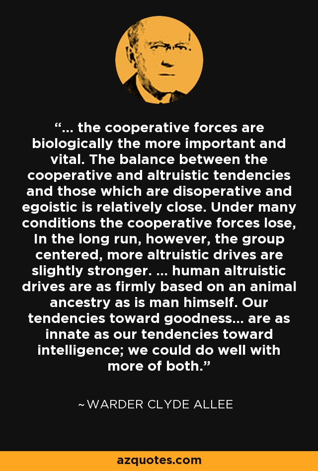 ... the cooperative forces are biologically the more important and vital. The balance between the cooperative and altruistic tendencies and those which are disoperative and egoistic is relatively close. Under many conditions the cooperative forces lose, In the long run, however, the group centered, more altruistic drives are slightly stronger. ... human altruistic drives are as firmly based on an animal ancestry as is man himself. Our tendencies toward goodness... are as innate as our tendencies toward intelligence; we could do well with more of both. - Warder Clyde Allee