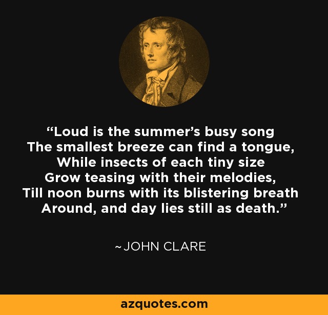 Loud is the summer's busy song The smallest breeze can find a tongue, While insects of each tiny size Grow teasing with their melodies, Till noon burns with its blistering breath Around, and day lies still as death. - John Clare
