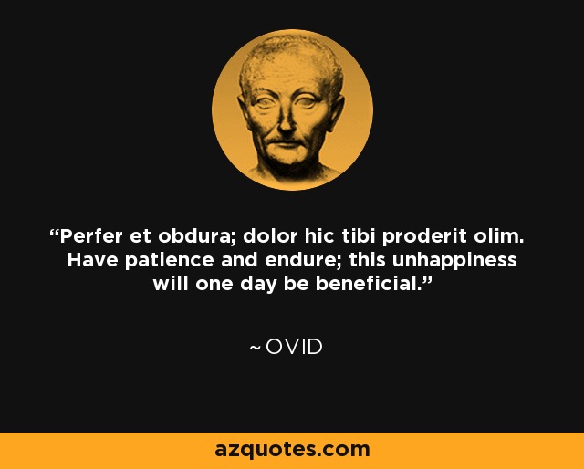 Perfer et obdura; dolor hic tibi proderit olim. Have patience and endure; this unhappiness will one day be beneficial. - Ovid