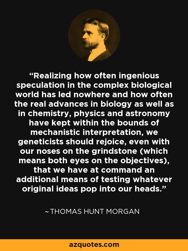 Realizing how often ingenious speculation in the complex biological world has led nowhere and how often the real advances in biology as well as in chemistry, physics and astronomy have kept within the bounds of mechanistic interpretation, we geneticists should rejoice, even with our noses on the grindstone (which means both eyes on the objectives), that we have at command an additional means of testing whatever original ideas pop into our heads. - Thomas Hunt Morgan