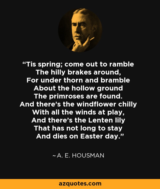 'Tis spring; come out to ramble The hilly brakes around, For under thorn and bramble About the hollow ground The primroses are found. And there's the windflower chilly With all the winds at play, And there's the Lenten lily That has not long to stay And dies on Easter day. - A. E. Housman