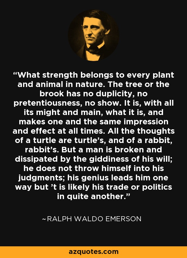 What strength belongs to every plant and animal in nature. The tree or the brook has no duplicity, no pretentiousness, no show. It is, with all its might and main, what it is, and makes one and the same impression and effect at all times. All the thoughts of a turtle are turtle's, and of a rabbit, rabbit's. But a man is broken and dissipated by the giddiness of his will; he does not throw himself into his judgments; his genius leads him one way but 't is likely his trade or politics in quite another. - Ralph Waldo Emerson