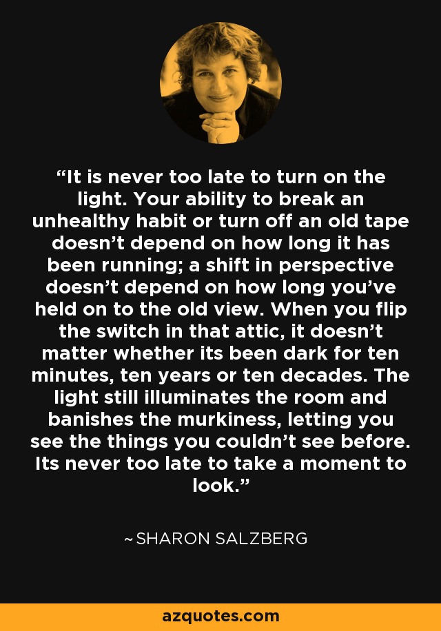 It is never too late to turn on the light. Your ability to break an unhealthy habit or turn off an old tape doesn't depend on how long it has been running; a shift in perspective doesn't depend on how long you've held on to the old view. When you flip the switch in that attic, it doesn't matter whether its been dark for ten minutes, ten years or ten decades. The light still illuminates the room and banishes the murkiness, letting you see the things you couldn't see before. Its never too late to take a moment to look. - Sharon Salzberg