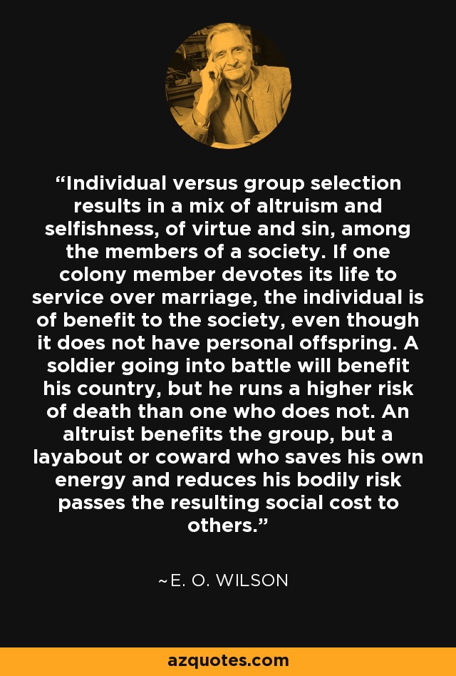 Individual versus group selection results in a mix of altruism and selfishness, of virtue and sin, among the members of a society. If one colony member devotes its life to service over marriage, the individual is of benefit to the society, even though it does not have personal offspring. A soldier going into battle will benefit his country, but he runs a higher risk of death than one who does not. An altruist benefits the group, but a layabout or coward who saves his own energy and reduces his bodily risk passes the resulting social cost to others. - E. O. Wilson