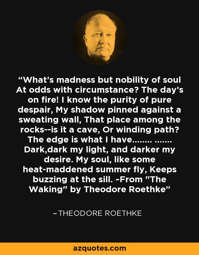 What's madness but nobility of soul At odds with circumstance? The day's on fire! I know the purity of pure despair, My shadow pinned against a sweating wall, That place among the rocks--is it a cave, Or winding path? The edge is what I have........ ....... Dark,dark my light, and darker my desire. My soul, like some heat-maddened summer fly, Keeps buzzing at the sill. ~From 