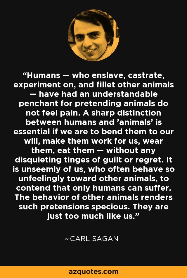 Humans — who enslave, castrate, experiment on, and fillet other animals — have had an understandable penchant for pretending animals do not feel pain. A sharp distinction between humans and 'animals' is essential if we are to bend them to our will, make them work for us, wear them, eat them — without any disquieting tinges of guilt or regret. It is unseemly of us, who often behave so unfeelingly toward other animals, to contend that only humans can suffer. The behavior of other animals renders such pretensions specious. They are just too much like us. - Carl Sagan