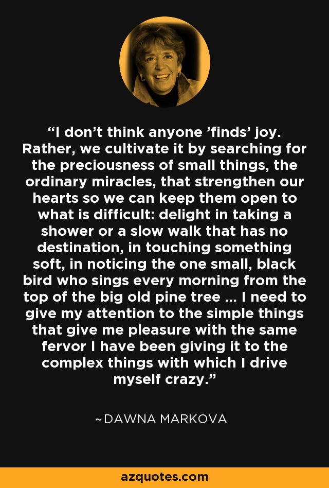 I don't think anyone 'finds' joy. Rather, we cultivate it by searching for the preciousness of small things, the ordinary miracles, that strengthen our hearts so we can keep them open to what is difficult: delight in taking a shower or a slow walk that has no destination, in touching something soft, in noticing the one small, black bird who sings every morning from the top of the big old pine tree ... I need to give my attention to the simple things that give me pleasure with the same fervor I have been giving it to the complex things with which I drive myself crazy. - Dawna Markova