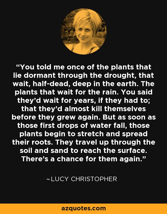 You told me once of the plants that lie dormant through the drought, that wait, half-dead, deep in the earth. The plants that wait for the rain. You said they'd wait for years, if they had to; that they'd almost kill themselves before they grew again. But as soon as those first drops of water fall, those plants begin to stretch and spread their roots. They travel up through the soil and sand to reach the surface. There's a chance for them again. - Lucy Christopher