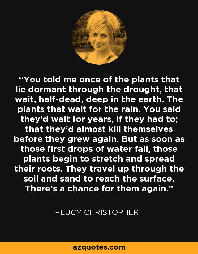 You told me once of the plants that lie dormant through the drought, that wait, half-dead, deep in the earth. The plants that wait for the rain. You said they'd wait for years, if they had to; that they'd almost kill themselves before they grew again. But as soon as those first drops of water fall, those plants begin to stretch and spread their roots. They travel up through the soil and sand to reach the surface. There's a chance for them again. - Lucy Christopher