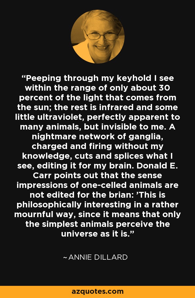 Peeping through my keyhold I see within the range of only about 30 percent of the light that comes from the sun; the rest is infrared and some little ultraviolet, perfectly apparent to many animals, but invisible to me. A nightmare network of ganglia, charged and firing without my knowledge, cuts and splices what I see, editing it for my brain. Donald E. Carr points out that the sense impressions of one-celled animals are not edited for the brian: 'This is philosophically interesting in a rather mournful way, since it means that only the simplest animals perceive the universe as it is. - Annie Dillard