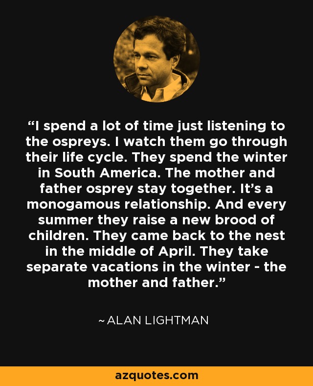 I spend a lot of time just listening to the ospreys. I watch them go through their life cycle. They spend the winter in South America. The mother and father osprey stay together. It's a monogamous relationship. And every summer they raise a new brood of children. They came back to the nest in the middle of April. They take separate vacations in the winter - the mother and father. - Alan Lightman