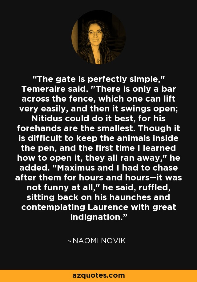 The gate is perfectly simple,