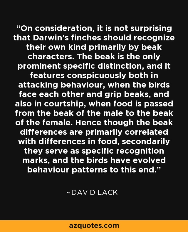 On consideration, it is not surprising that Darwin's finches should recognize their own kind primarily by beak characters. The beak is the only prominent specific distinction, and it features conspicuously both in attacking behaviour, when the birds face each other and grip beaks, and also in courtship, when food is passed from the beak of the male to the beak of the female. Hence though the beak differences are primarily correlated with differences in food, secondarily they serve as specific recognition marks, and the birds have evolved behaviour patterns to this end. - David Lack