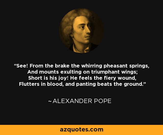 See! From the brake the whirring pheasant springs, And mounts exulting on triumphant wings; Short is his joy! He feels the fiery wound, Flutters in blood, and panting beats the ground. - Alexander Pope