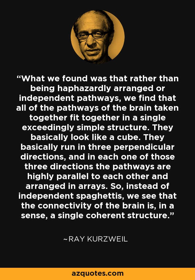 What we found was that rather than being haphazardly arranged or independent pathways, we find that all of the pathways of the brain taken together fit together in a single exceedingly simple structure. They basically look like a cube. They basically run in three perpendicular directions, and in each one of those three directions the pathways are highly parallel to each other and arranged in arrays. So, instead of independent spaghettis, we see that the connectivity of the brain is, in a sense, a single coherent structure. - Ray Kurzweil
