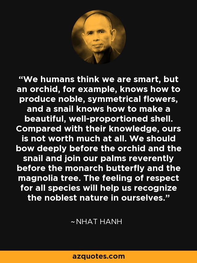 We humans think we are smart, but an orchid, for example, knows how to produce noble, symmetrical flowers, and a snail knows how to make a beautiful, well-proportioned shell. Compared with their knowledge, ours is not worth much at all. We should bow deeply before the orchid and the snail and join our palms reverently before the monarch butterfly and the magnolia tree. The feeling of respect for all species will help us recognize the noblest nature in ourselves. - Nhat Hanh