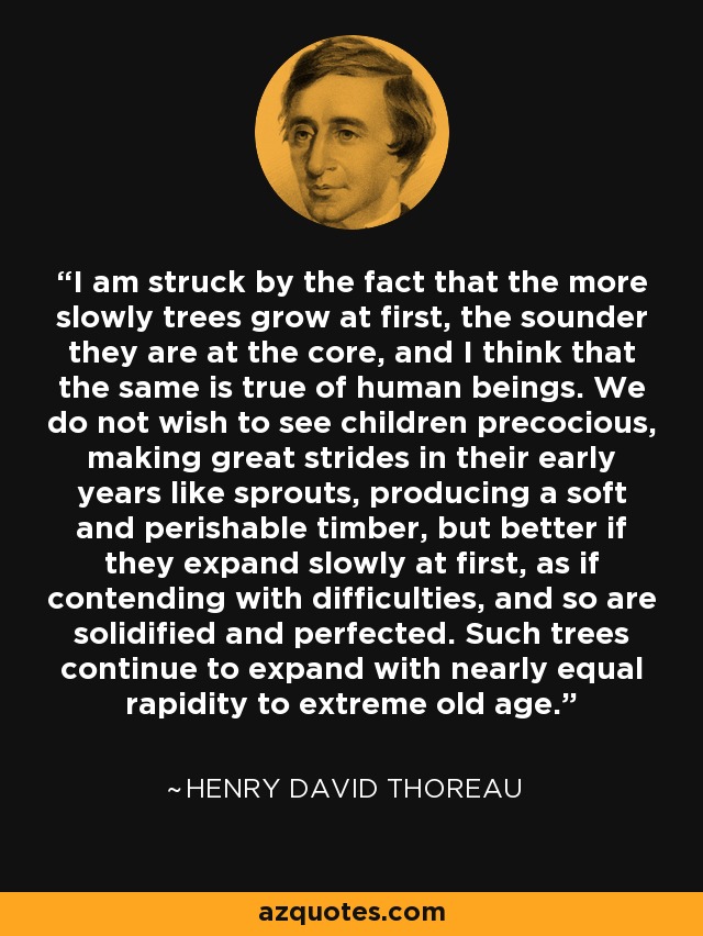 I am struck by the fact that the more slowly trees grow at first, the sounder they are at the core, and I think that the same is true of human beings. We do not wish to see children precocious, making great strides in their early years like sprouts, producing a soft and perishable timber, but better if they expand slowly at first, as if contending with difficulties, and so are solidified and perfected. Such trees continue to expand with nearly equal rapidity to extreme old age. - Henry David Thoreau