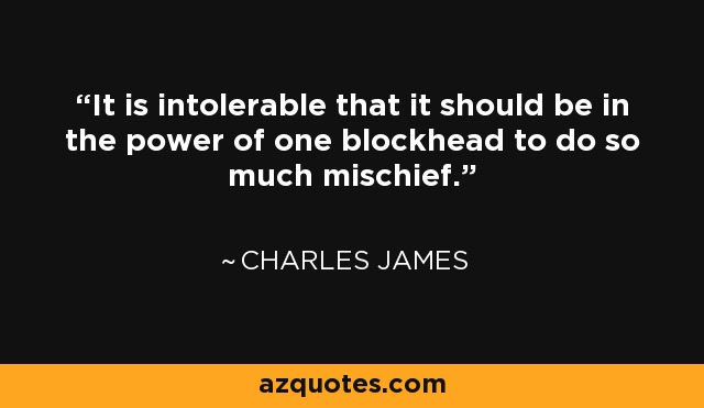 It is intolerable that it should be in the power of one blockhead to do so much mischief. - Charles James
