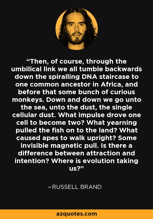 Then, of course, through the umbilical link we all tumble backwards down the spiralling DNA staircase to one common ancestor in Africa, and before that some bunch of curious monkeys. Down and down we go unto the sea, unto the dust, the single cellular dust. What impulse drove one cell to become two? What yearning pulled the fish on to the land? What caused apes to walk upright? Some invisible magnetic pull. Is there a difference between attraction and intention? Where is evolution taking us? - Russell Brand