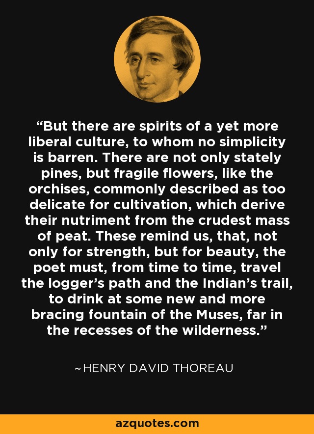 But there are spirits of a yet more liberal culture, to whom no simplicity is barren. There are not only stately pines, but fragile flowers, like the orchises, commonly described as too delicate for cultivation, which derive their nutriment from the crudest mass of peat. These remind us, that, not only for strength, but for beauty, the poet must, from time to time, travel the logger's path and the Indian's trail, to drink at some new and more bracing fountain of the Muses, far in the recesses of the wilderness. - Henry David Thoreau