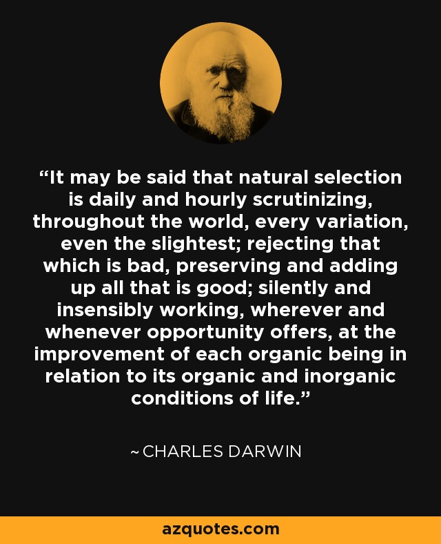 It may be said that natural selection is daily and hourly scrutinizing, throughout the world, every variation, even the slightest; rejecting that which is bad, preserving and adding up all that is good; silently and insensibly working, wherever and whenever opportunity offers, at the improvement of each organic being in relation to its organic and inorganic conditions of life. - Charles Darwin