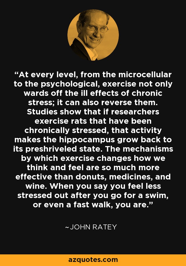 At every level, from the microcellular to the psychological, exercise not only wards off the ill effects of chronic stress; it can also reverse them. Studies show that if researchers exercise rats that have been chronically stressed, that activity makes the hippocampus grow back to its preshriveled state. The mechanisms by which exercise changes how we think and feel are so much more effective than donuts, medicines, and wine. When you say you feel less stressed out after you go for a swim, or even a fast walk, you are. - John Ratey