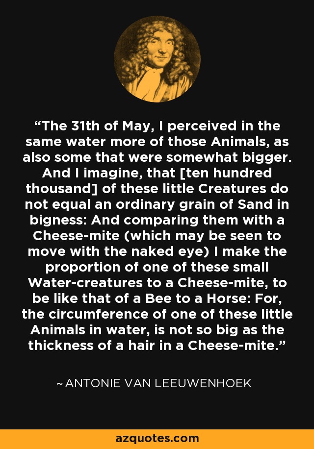 The 31th of May, I perceived in the same water more of those Animals, as also some that were somewhat bigger. And I imagine, that [ten hundred thousand] of these little Creatures do not equal an ordinary grain of Sand in bigness: And comparing them with a Cheese-mite (which may be seen to move with the naked eye) I make the proportion of one of these small Water-creatures to a Cheese-mite, to be like that of a Bee to a Horse: For, the circumference of one of these little Animals in water, is not so big as the thickness of a hair in a Cheese-mite. - Antonie van Leeuwenhoek