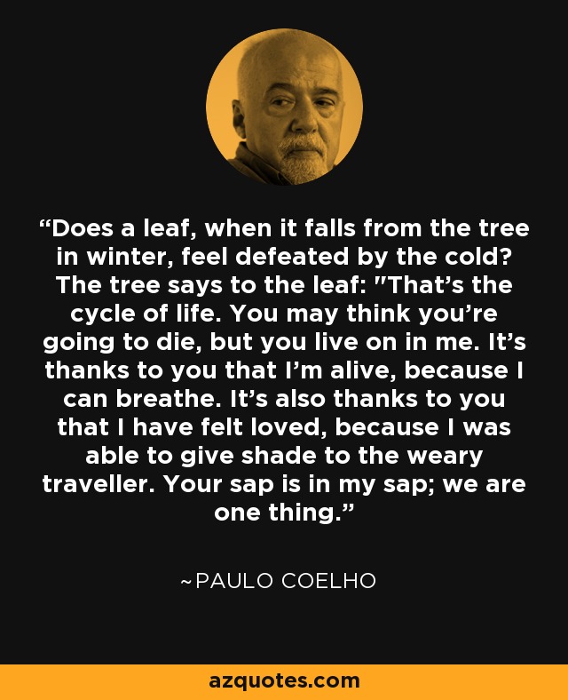 Does a leaf, when it falls from the tree in winter, feel defeated by the cold? The tree says to the leaf: 