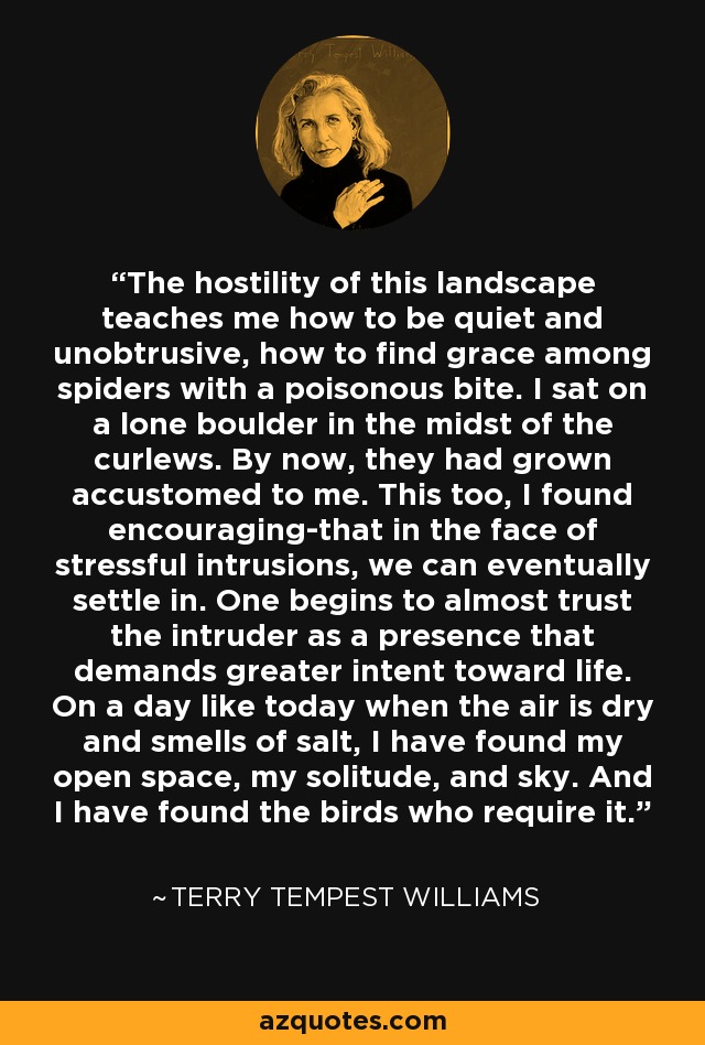 The hostility of this landscape teaches me how to be quiet and unobtrusive, how to find grace among spiders with a poisonous bite. I sat on a lone boulder in the midst of the curlews. By now, they had grown accustomed to me. This too, I found encouraging-that in the face of stressful intrusions, we can eventually settle in. One begins to almost trust the intruder as a presence that demands greater intent toward life. On a day like today when the air is dry and smells of salt, I have found my open space, my solitude, and sky. And I have found the birds who require it. - Terry Tempest Williams