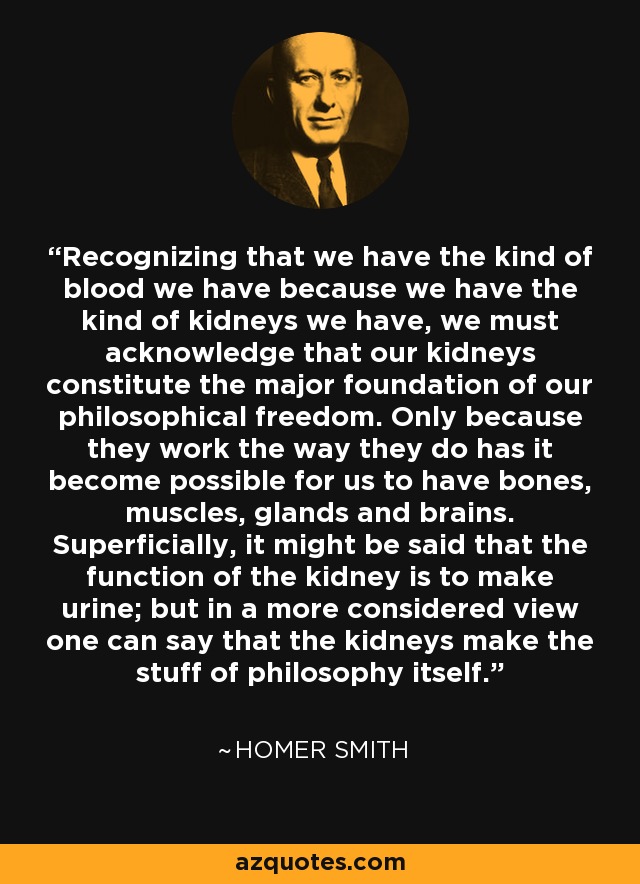 Recognizing that we have the kind of blood we have because we have the kind of kidneys we have, we must acknowledge that our kidneys constitute the major foundation of our philosophical freedom. Only because they work the way they do has it become possible for us to have bones, muscles, glands and brains. Superficially, it might be said that the function of the kidney is to make urine; but in a more considered view one can say that the kidneys make the stuff of philosophy itself. - Homer Smith